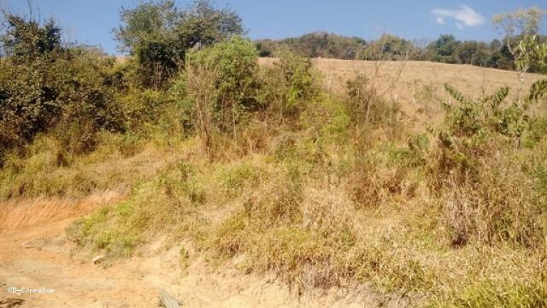Imagem Terreno à Venda, 10.000 m² em Camanducaia Do Meio - Socorro