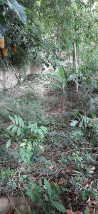 Imagem Terreno à Venda, 1.830 m² em Campo Grande - Rio De Janeiro Imagem Terreno à Venda, 1.830 m² em Campo Grande - Rio De Janeiro