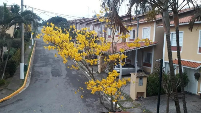 Casa com 2 Quartos à Venda, 70 m² em Granja Viana - Cotia