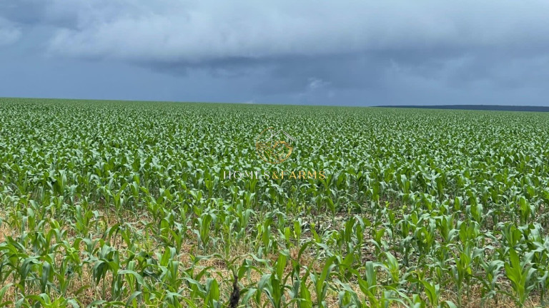 Imagem Imóvel com 3 Quartos à Venda, 7.546 m² em Zona Rural - Nobres Imagem Imóvel com 3 Quartos à Venda, 7.546 m² em Zona Rural - Nobres