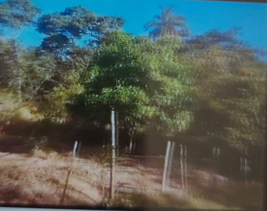Imagem Terreno à Venda, 600 m² em R$70.000,00 // Bairro Cidade Jardim // Esmeraldas - Esmeraldas Imagem Terreno à Venda, 600 m² em R$70.000,00 // Bairro Cidade Jardim // Esmeraldas - Esmeraldas