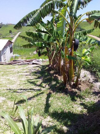Imagem Chácara com 2 Quartos à Venda, 1 m² em Araçoiaba Da Serra
