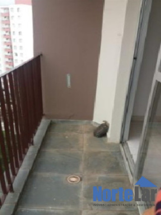 Imagem Apartamento com 2 Quartos à Venda, 56 m² em Vila Marina - São Paulo