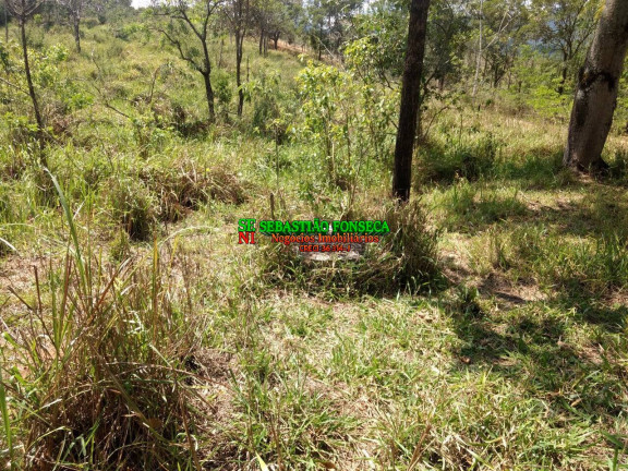 Imagem Chácara à Venda, 5 m² em Sob. Consulta - Caçapava Imagem Chácara à Venda, 5 m² em Sob. Consulta - Caçapava