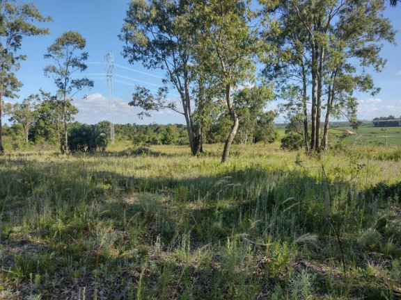 Imagem Terreno à Venda, 20.000 m² em Alto Perequê - Arroio Do Padre Imagem Terreno à Venda, 20.000 m² em Alto Perequê - Arroio Do Padre