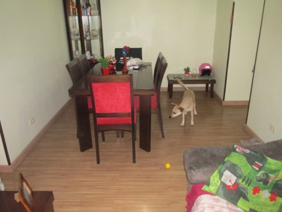 Imagem Apartamento com 2 Quartos à Venda, 90 m² em Nova Cintra - Santos Imagem Apartamento com 2 Quartos à Venda, 90 m² em Nova Cintra - Santos