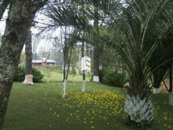 Imagem Casa à Venda, 2.300 m² em Km 23 - Itaara