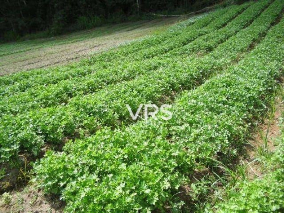 Imagem Fazenda à Venda, 476.155 m² em Sebastiana - Teresópolis