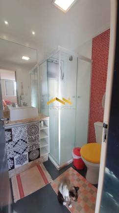 Imagem Apartamento com 2 Quartos à Venda, 67 m² em Vila Sonia - São Paulo Imagem Apartamento com 2 Quartos à Venda, 67 m² em Vila Sonia - São Paulo