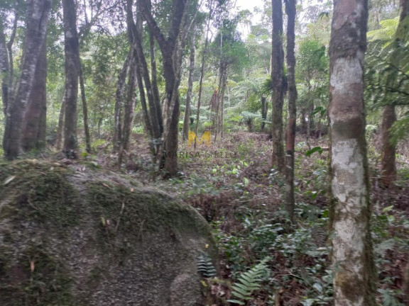 Imagem Chácara à Venda, em Recreio Da Serra - Piraquara Imagem Chácara à Venda, em Recreio Da Serra - Piraquara