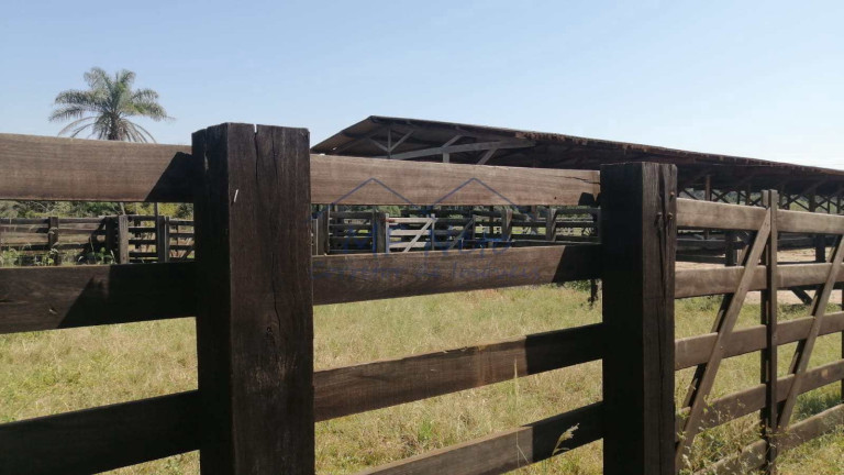 Imagem Fazenda à Venda, 22 m² em Roque - Pirassununga Imagem Fazenda à Venda, 22 m² em Roque - Pirassununga