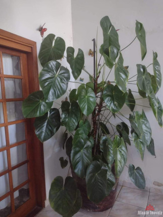 Imagem Imóvel com 2 Quartos à Venda, 500 m² em Roseira - Jundiaí Imagem Imóvel com 2 Quartos à Venda, 500 m² em Roseira - Jundiaí