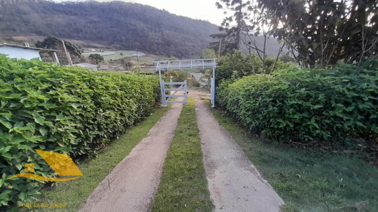 Imagem Chácara com 3 Quartos à Venda, 150 m² em Conquista - Nova Friburgo