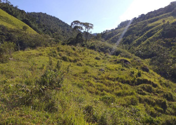 Imagem Fazenda à Venda, 726.000 m² em Tomba - Feira De Santana Imagem Fazenda à Venda, 726.000 m² em Tomba - Feira De Santana