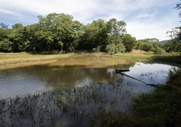 Imagem Fazenda à Venda, 82.000 m² em Centro - Acorizal