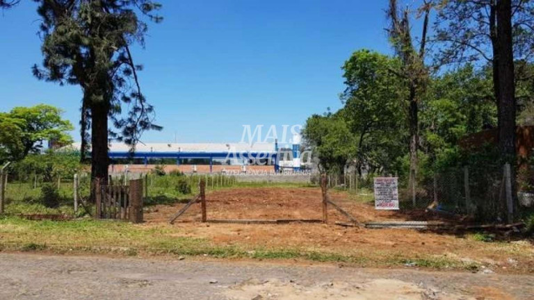 Imagem Terreno à Venda, 1 m² em Cristo Rei - São Leopoldo Imagem Terreno à Venda, 1 m² em Cristo Rei - São Leopoldo