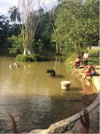 Chácara com 2 Quartos à Venda, 200 m² em Fontes - Arujá
