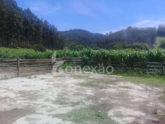 Imagem Fazenda à Venda, 200 m² em Centro - Paraibuna Imagem Fazenda à Venda, 200 m² em Centro - Paraibuna