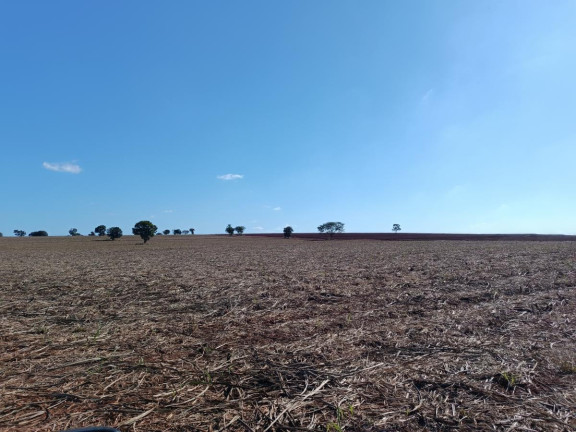 Imagem Chácara à Venda, 29 m² em Rural - Avaré Imagem Chácara à Venda, 29 m² em Rural - Avaré