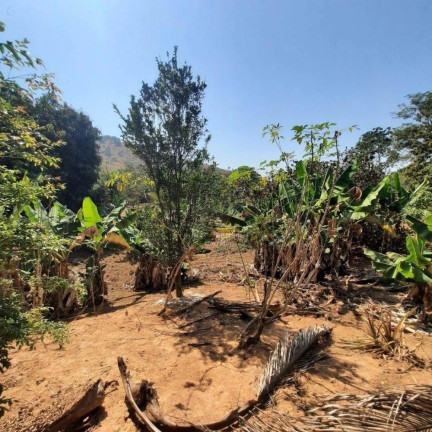 Imagem Chácara à Venda, 6.000 m²