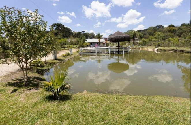 Imagem Fazenda à Venda, em Centro - Contenda Imagem Fazenda à Venda, em Centro - Contenda