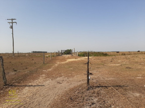 Imagem Imóvel à Venda, 48 m² em Dores De Macabu - Campos Dos Goytacazes
