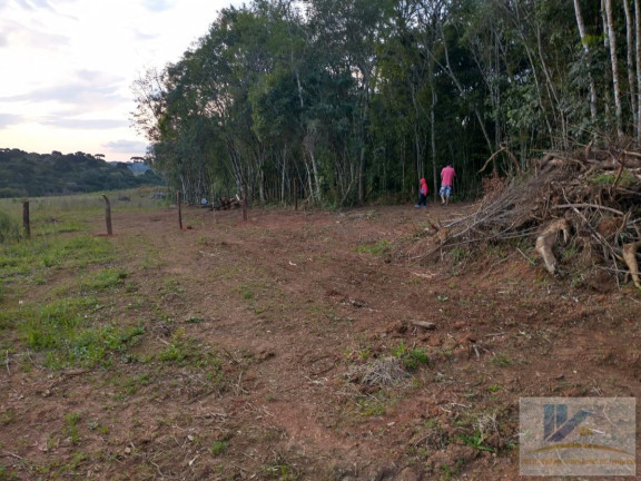 Imagem Terreno à Venda, 43.000 m² em Contenda - São José Dos Pinhais Imagem Terreno à Venda, 43.000 m² em Contenda - São José Dos Pinhais