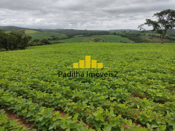 Imagem Chácara à Venda, 20 m² em Pilar Do Sul