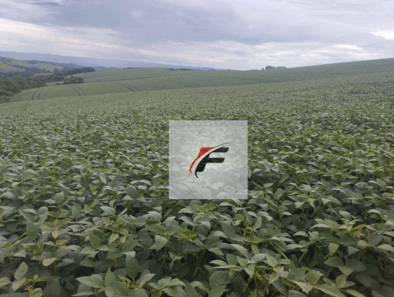 Imagem Fazenda à Venda, 871.200 m² em Centro - Guarapuava Imagem Fazenda à Venda, 871.200 m² em Centro - Guarapuava