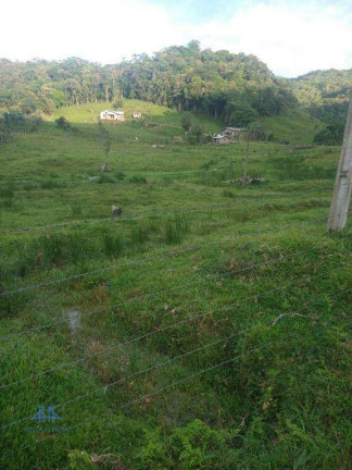 Imagem Chácara com 2 Quartos à Venda, 22.000 m² em Centro - São Pedro De Alcântara