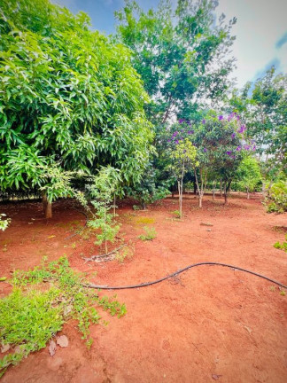 Imagem Terreno à Venda, 5.006 m² em Condomínio Alto Da Boa Vista - Senador Canedo Imagem Terreno à Venda, 5.006 m² em Condomínio Alto Da Boa Vista - Senador Canedo