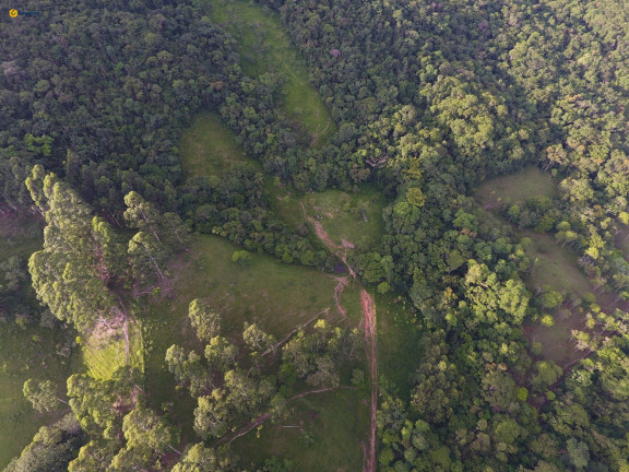 Imagem Terreno à Venda, 370.489 m² em Sul Do Rio - Santo Amaro Da Imperatriz Imagem Terreno à Venda, 370.489 m² em Sul Do Rio - Santo Amaro Da Imperatriz