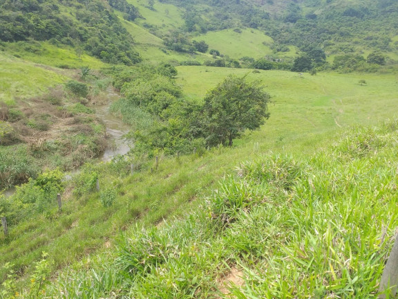 Imagem Fazenda à Venda, 1.930.000 m² em Centro - Trajano De Morais