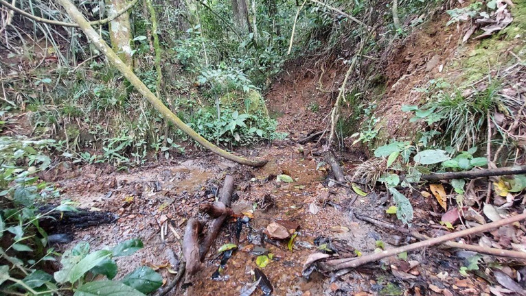 Imagem Imóvel à Venda, 20.000 m² em Zona Rural - Agrolândia Imagem Imóvel à Venda, 20.000 m² em Zona Rural - Agrolândia