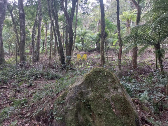 Imagem Chácara à Venda, em Recreio Da Serra - Piraquara Imagem Chácara à Venda, em Recreio Da Serra - Piraquara