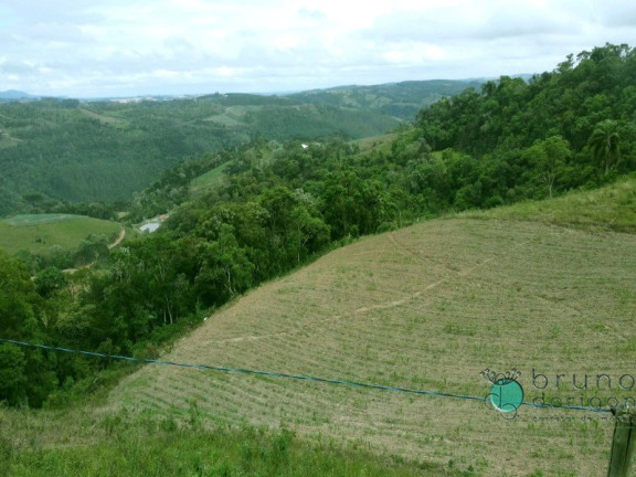 Imagem Imóvel com 2 Quartos à Venda, 425.000 m² em Zona Rural - Alfredo Wagner