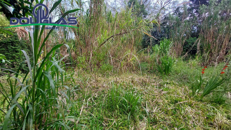 Imagem Terreno à Venda, 567 m² em águas Claras - Viamão
