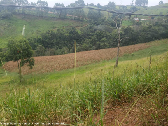 Imagem Chácara à Venda, 5 m² em Taquari - Caldas