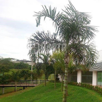 Imagem Casa de Condomínio com 3 Quartos à Venda, 210 m² em Residencial Gaivota Ii - São José Do Rio Preto Imagem Casa de Condomínio com 3 Quartos à Venda, 210 m² em Residencial Gaivota Ii - São José Do Rio Preto