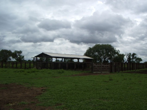 Imagem Imóvel à Venda,  em Região Do Araguaia Xingu - São Félix Do Araguaia