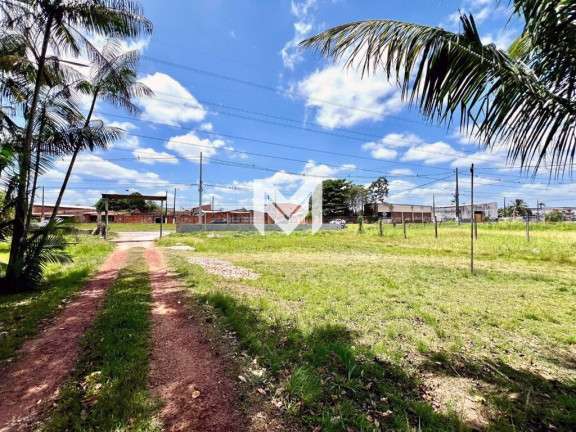 Imagem Chácara com 4 Quartos à Venda, 10.000 m² em Quarenta Horas (coqueiro) - Ananindeua