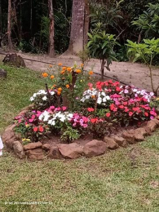 Chácara à Venda,  em Parque Bahia - Cotia