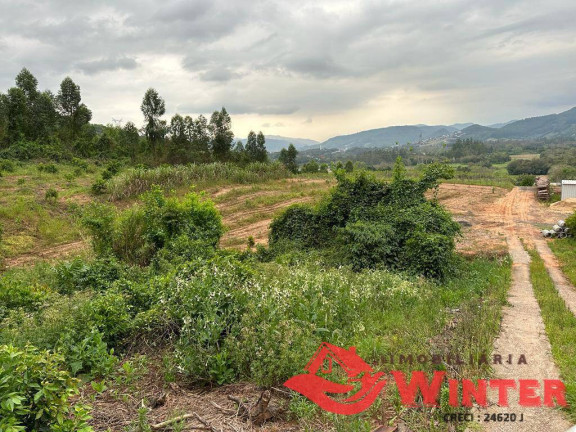 Terreno à Venda, 20.000 m² em Bom Fim - Feliz