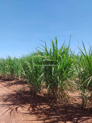 Imagem Fazenda à Venda, 169 m² em Monte Alegre De Minas