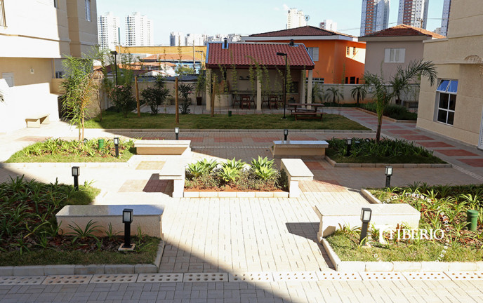 Imagem Apartamento com 3 Quartos à Venda, 62 m² em Centro - Guarulhos