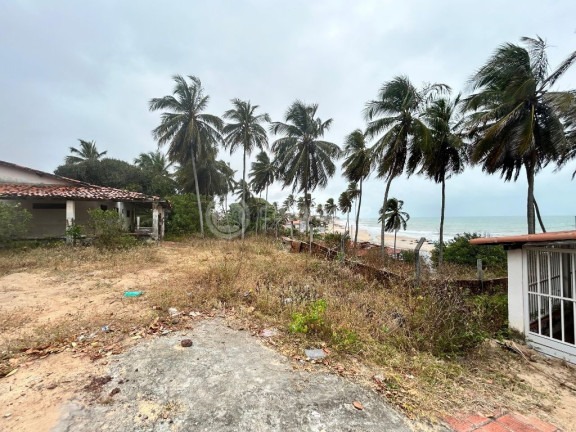 Imagem Terreno à Venda, 3.550 m² em Praia De Caraúbas - Maxaranguape Imagem Terreno à Venda, 3.550 m² em Praia De Caraúbas - Maxaranguape