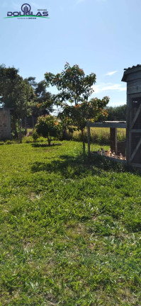 Imagem Chácara à Venda, 3.050 m² em Viamão Imagem Chácara à Venda, 3.050 m² em Viamão