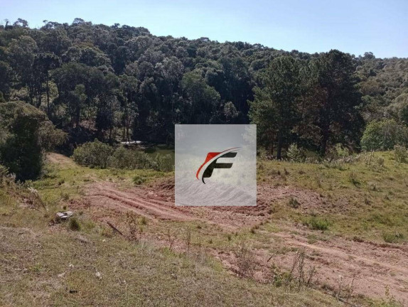 Imagem Chácara com 3 Quartos à Venda, 242.000 m² em Centro - Lapa