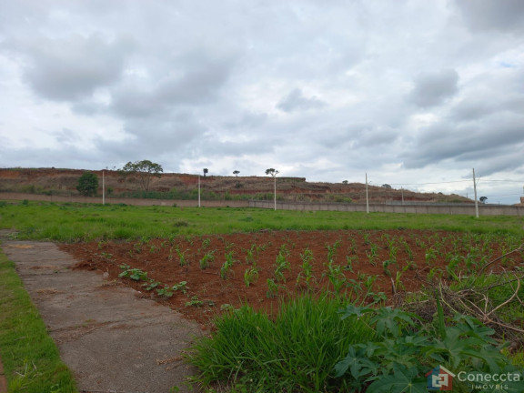 Imagem Terreno à Venda, 364 m² em Alto Dos Caiçaras - Patos De Minas Imagem Terreno à Venda, 364 m² em Alto Dos Caiçaras - Patos De Minas