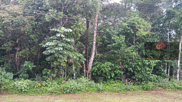 Imagem Terreno à Venda, 6.640 m² em Tarumã Açu - Manaus Imagem Terreno à Venda, 6.640 m² em Tarumã Açu - Manaus